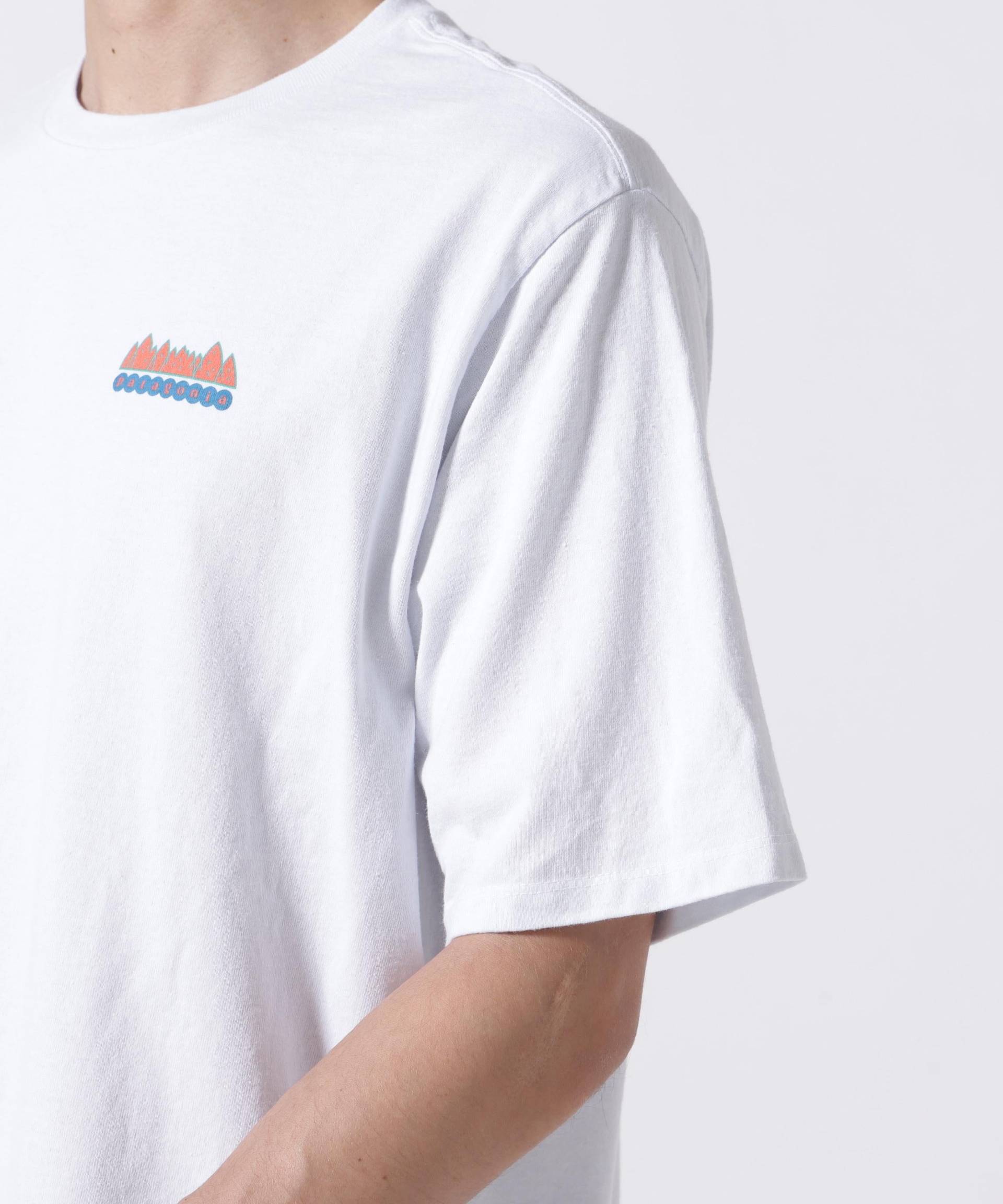 Patagonia/パタゴニア メンズ・フィッツロイ・ワイルド・レスポンシビリティー ホワイト