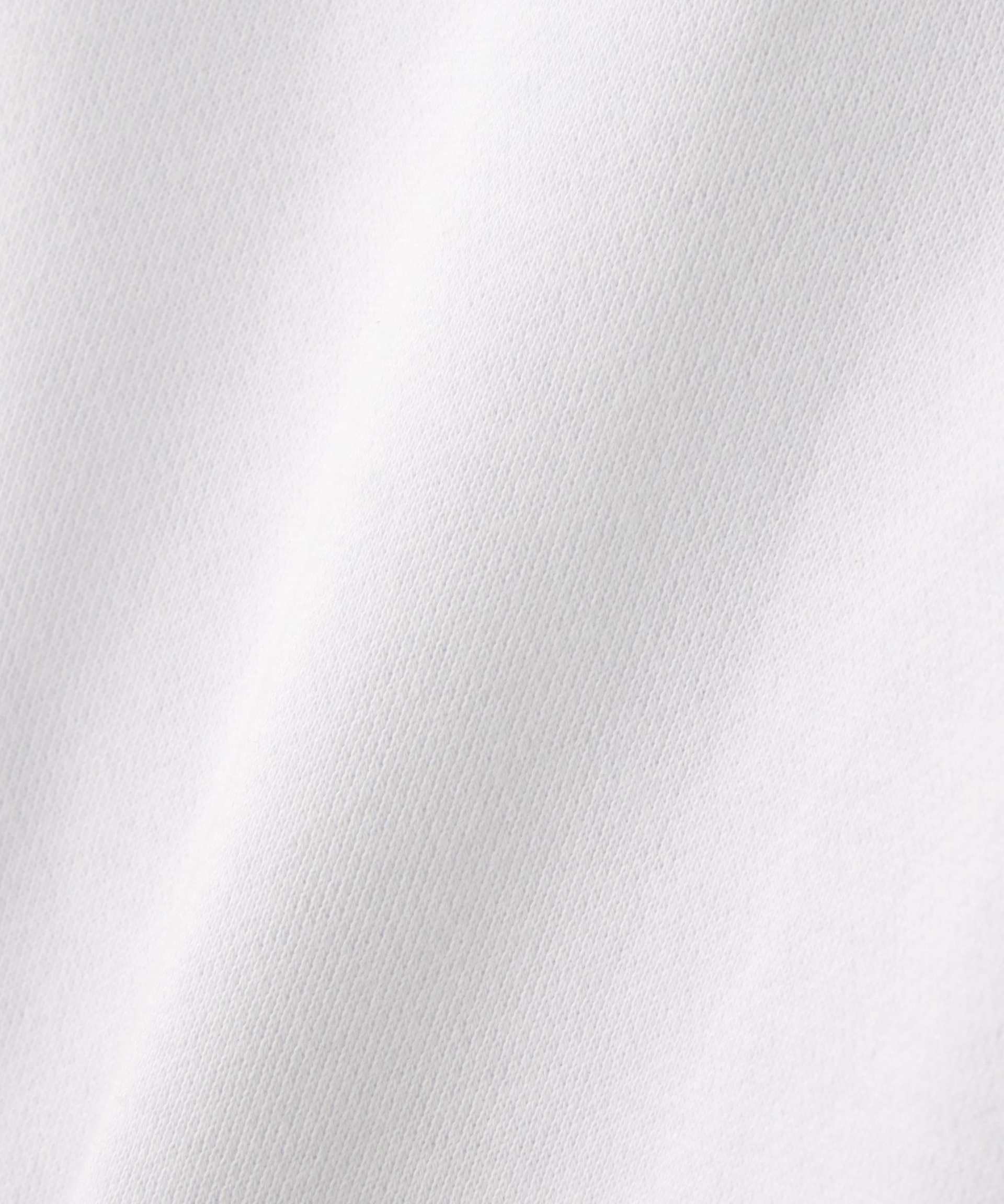 THE NORTH FACE/ザ・ノース・フェイス/Rearview Full Zip Hoodie ホワイト