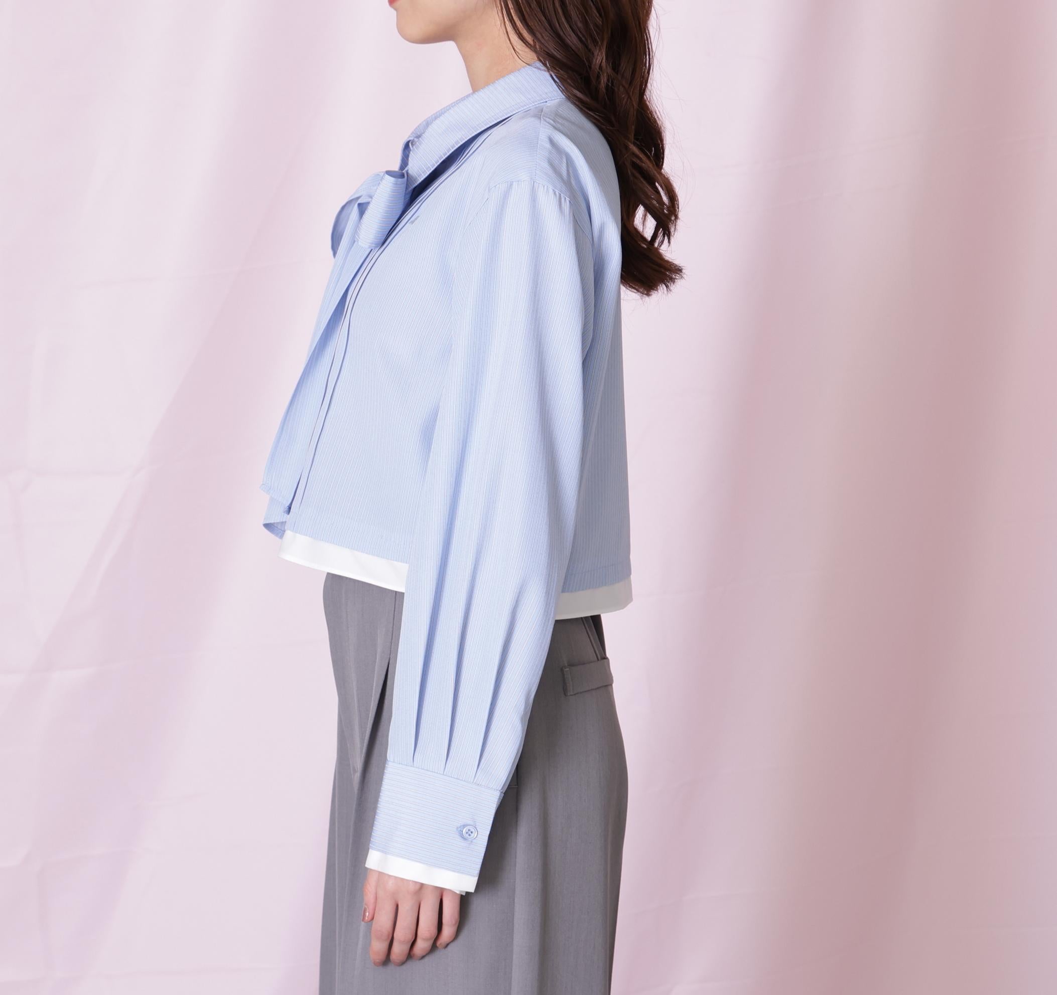 ヘムレイヤードクロップドシャツ ブルーストライプ1