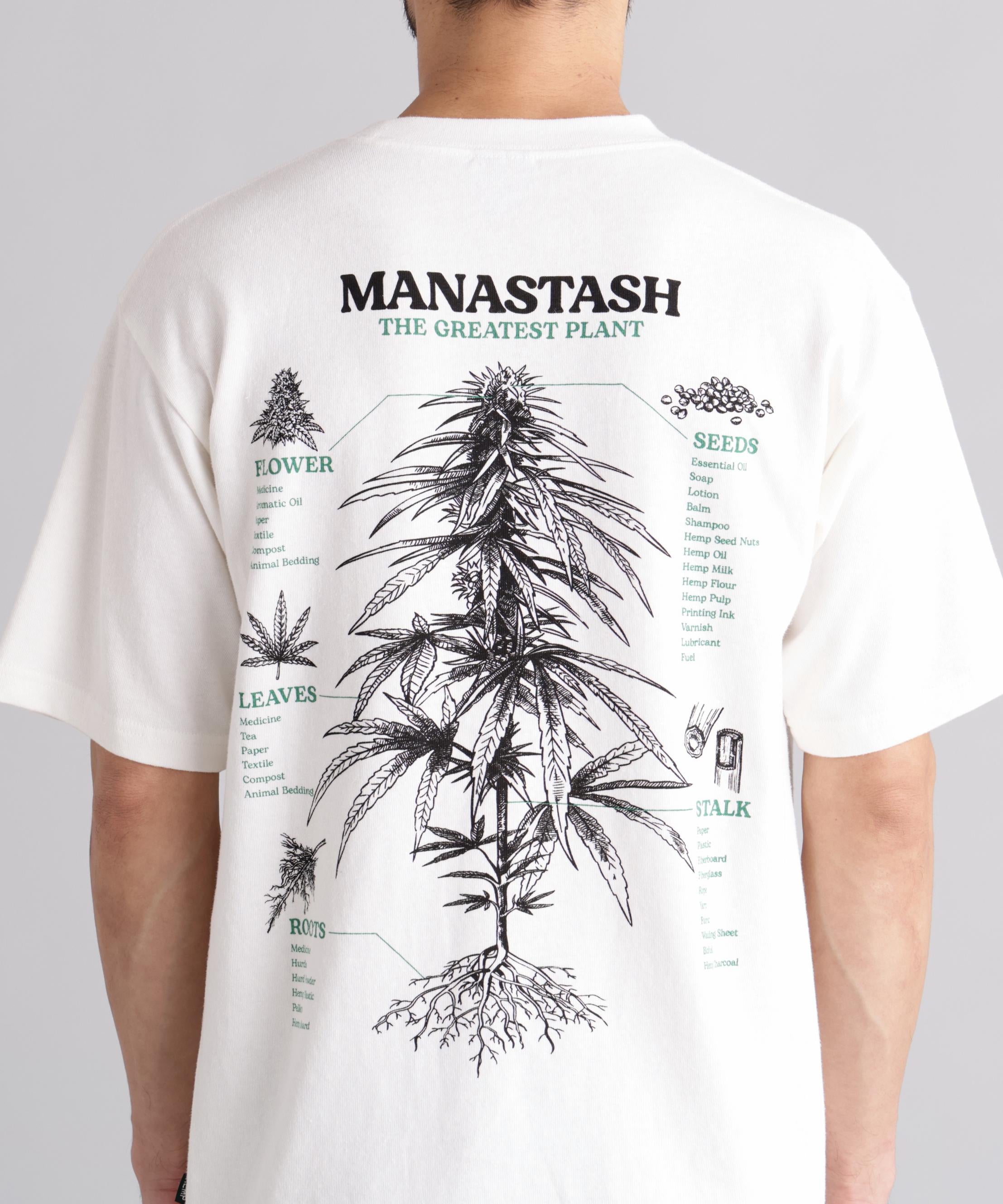 MANASTASH/マナスタッシュ/HEMP TEE TGP ホワイト