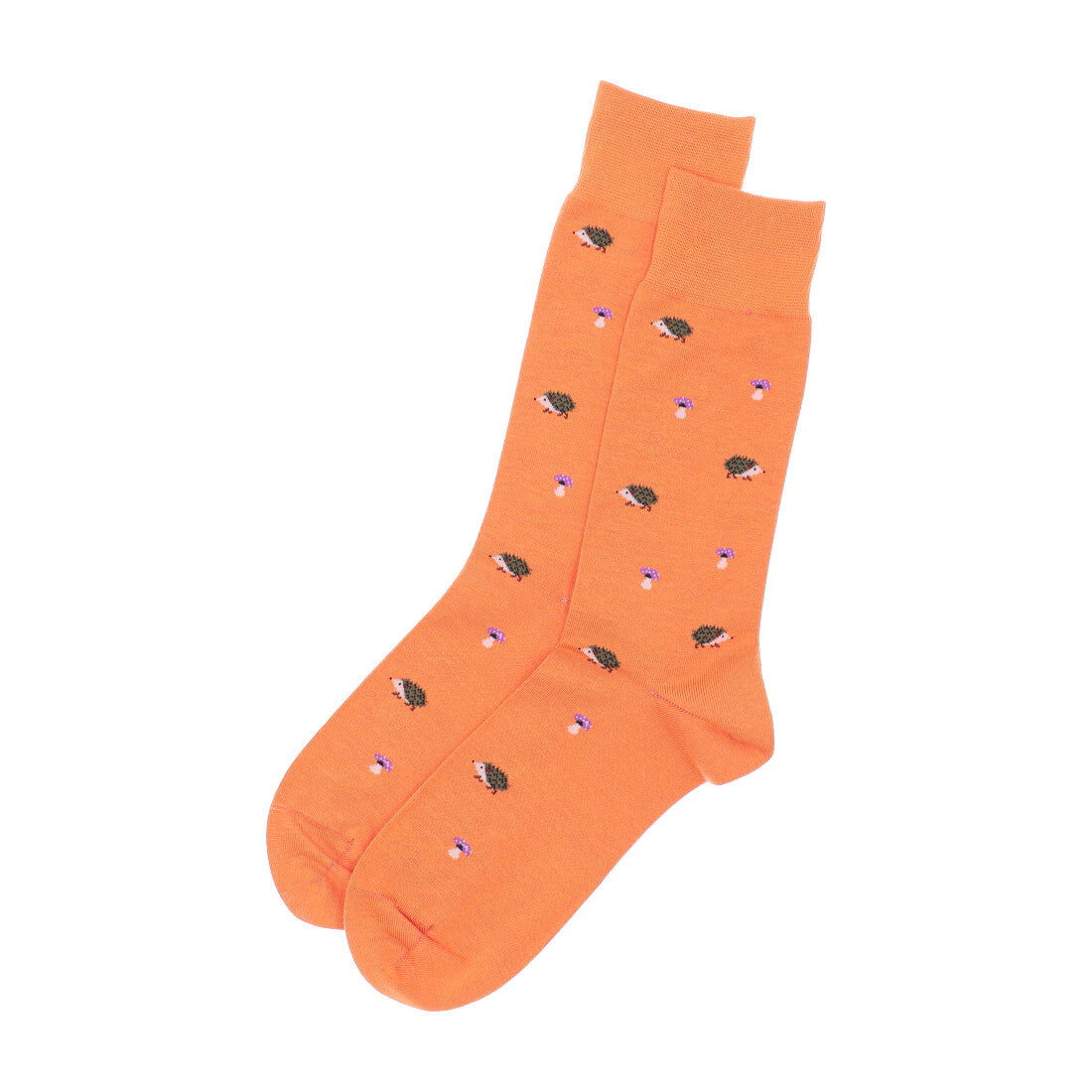 Aquascutum AQ Hedgehog