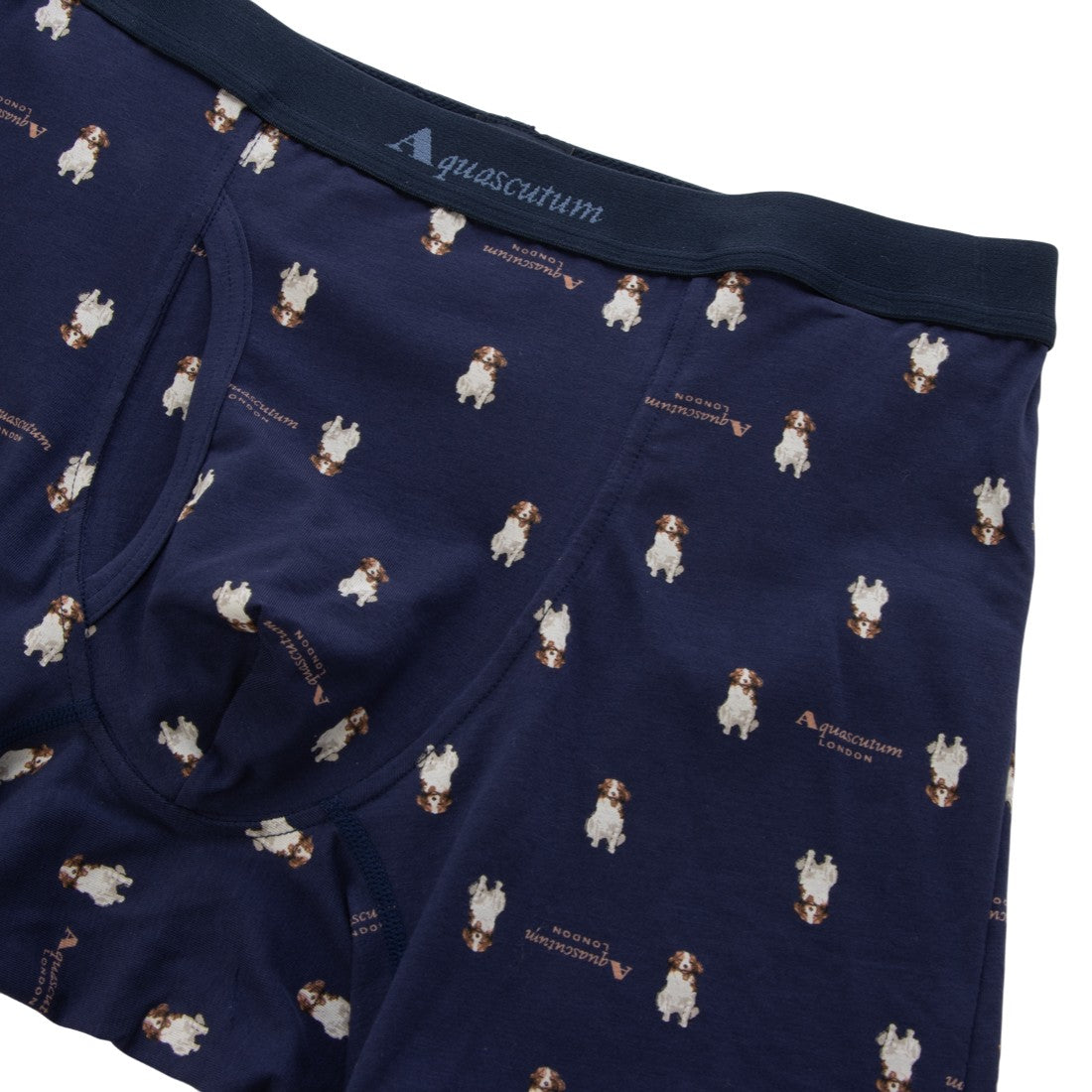 アクアスキュータム Aquascutum NEWAQロングボクサー/コーイケルホンディ 【返品不可商品】 (ネイビー) ネイビー