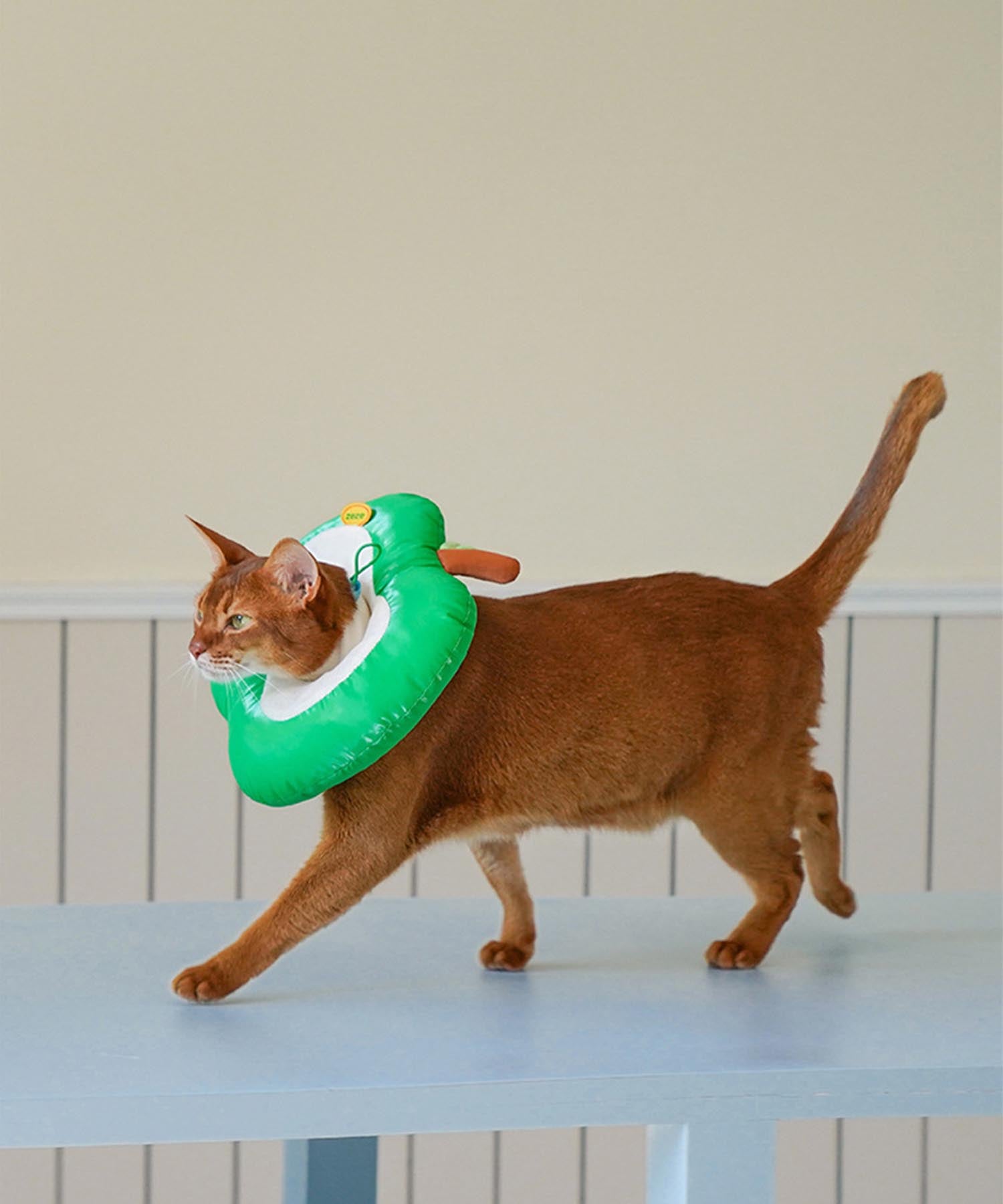 アイモハ aimoha aimoha home/アップル型 ペット用エリザベスカラー 【返品不可商品】 (グリーン) グリーン