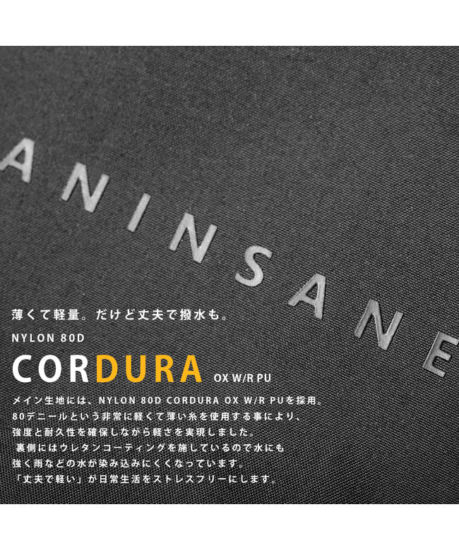 アンインセイン ANINSANE アンインセイン Pシリーズ リュック メンズ ブランド 18L PC 13インチ ANINSANE P SERIES P01 (ブラック) ブラック