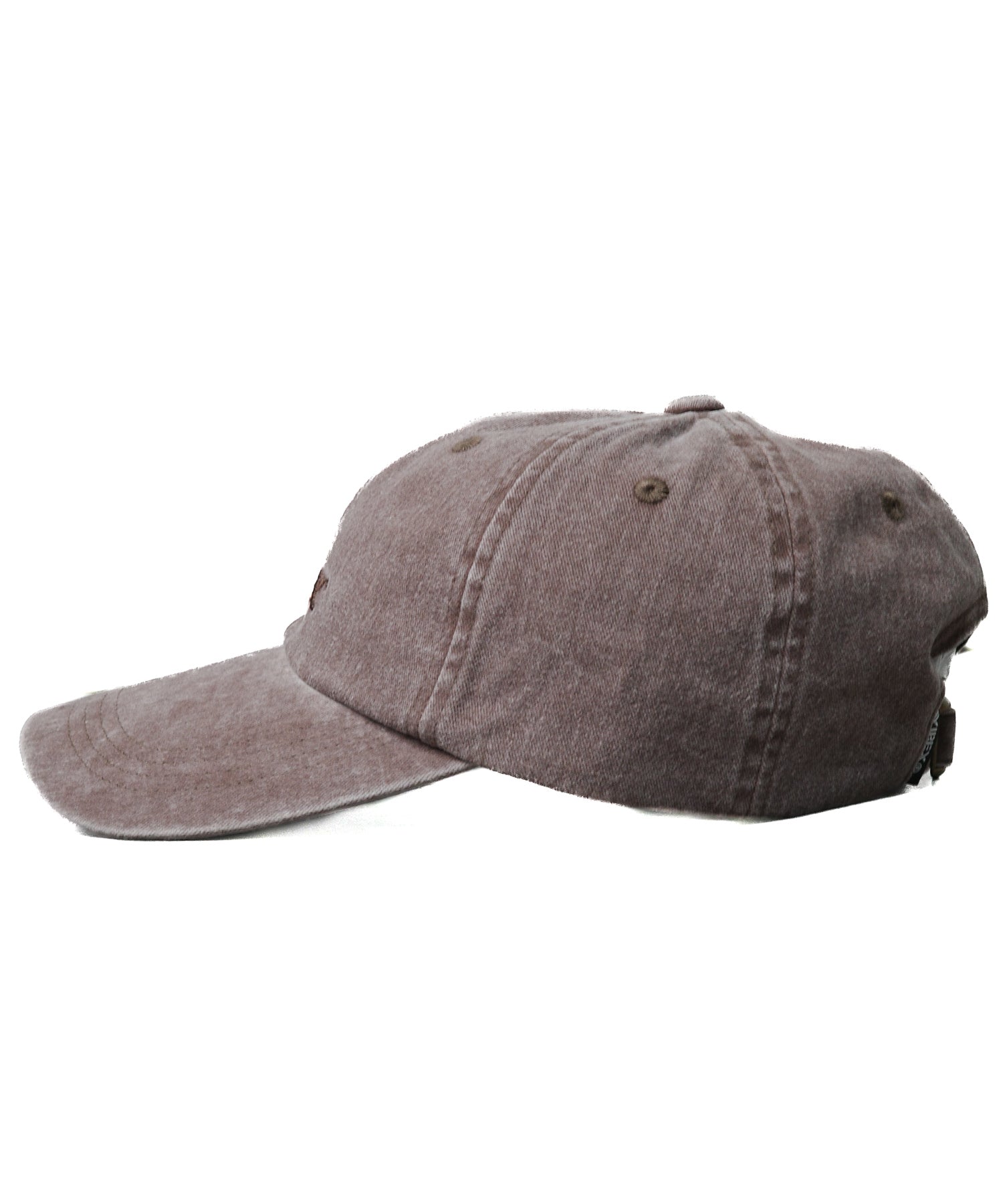 アヴィレックス AVIREX Logo embroidery pigment low cap (ブラウン) ブラウン