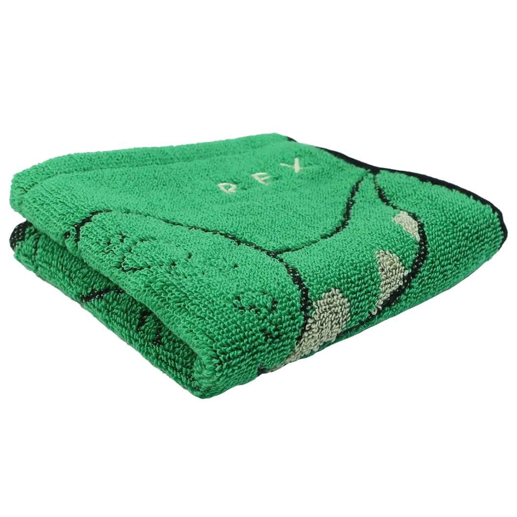 シネマコレクション cinemacollection トイストーリー ミニタオル 抗菌防臭 ジャガード ハンカチタオル シルエットダイナソー ディズニー 丸眞 プチギフト 女の子 男の子 保育園 幼稚園 (メーカー指定色) メーカー指定色