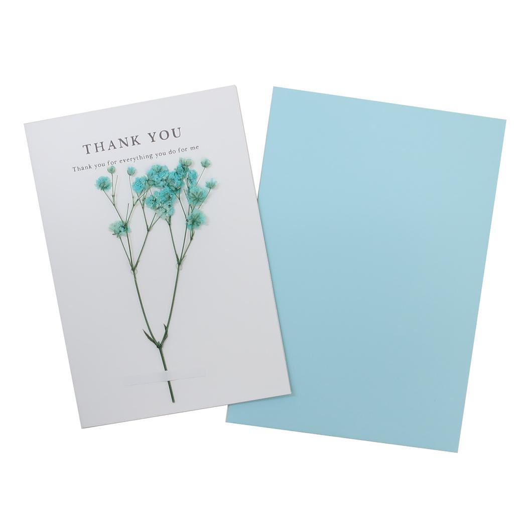 シネマコレクション cinemacollection グリーティングカード ドライフラワー サンキュー アクティブコーポレーション メッセージカード 封筒付き グッズ (メーカー指定色) メーカー指定色