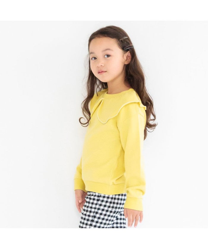 布蘭西斯 BRANSHES 【DRC】襯衫領裏毛運動衫