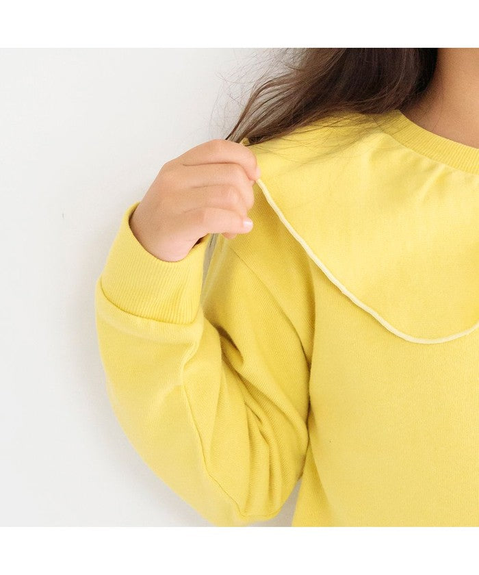 布蘭西斯 BRANSHES 【DRC】襯衫領裏毛運動衫