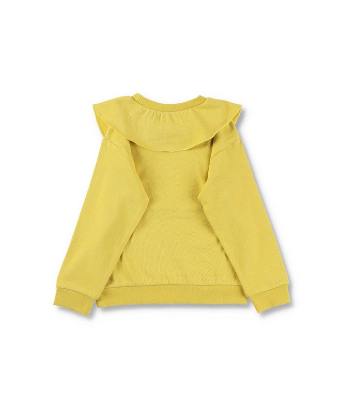 布蘭西斯 BRANSHES 【DRC】襯衫領裏毛運動衫