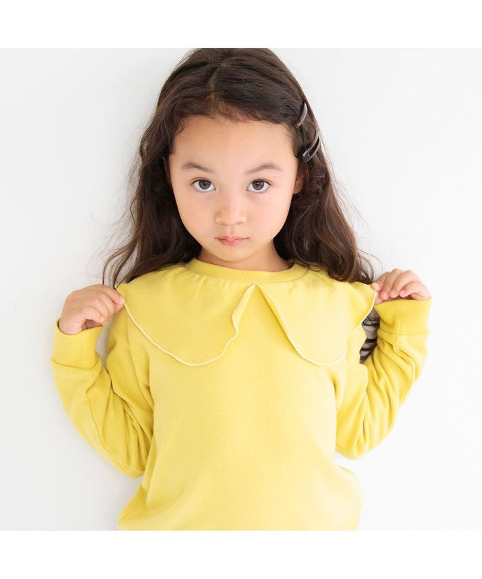 布蘭西斯 BRANSHES 【DRC】襯衫領裏毛運動衫