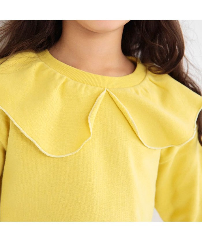 布蘭西斯 BRANSHES 【DRC】襯衫領裏毛運動衫