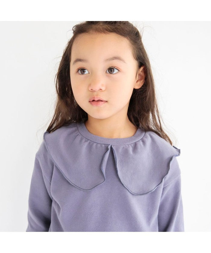 布蘭西斯 BRANSHES 【DRC】襯衫領裏毛運動衫