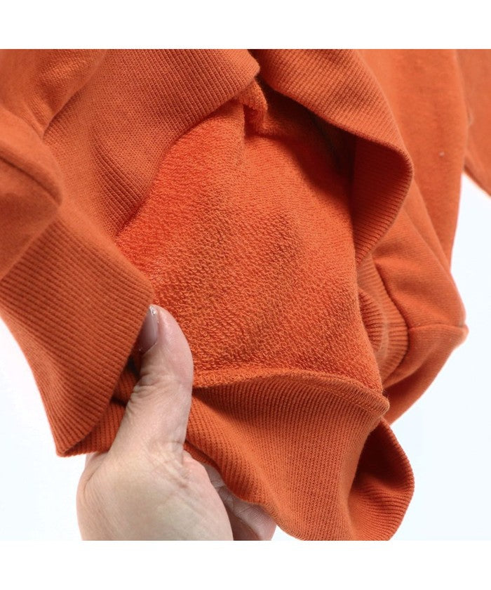 Branshes BRANSHES 【WEB Limited/DRC/Soft Thin Backing】 Assorted Graphic Trainer