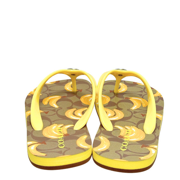 コーチ COACH CR856 CWH0801