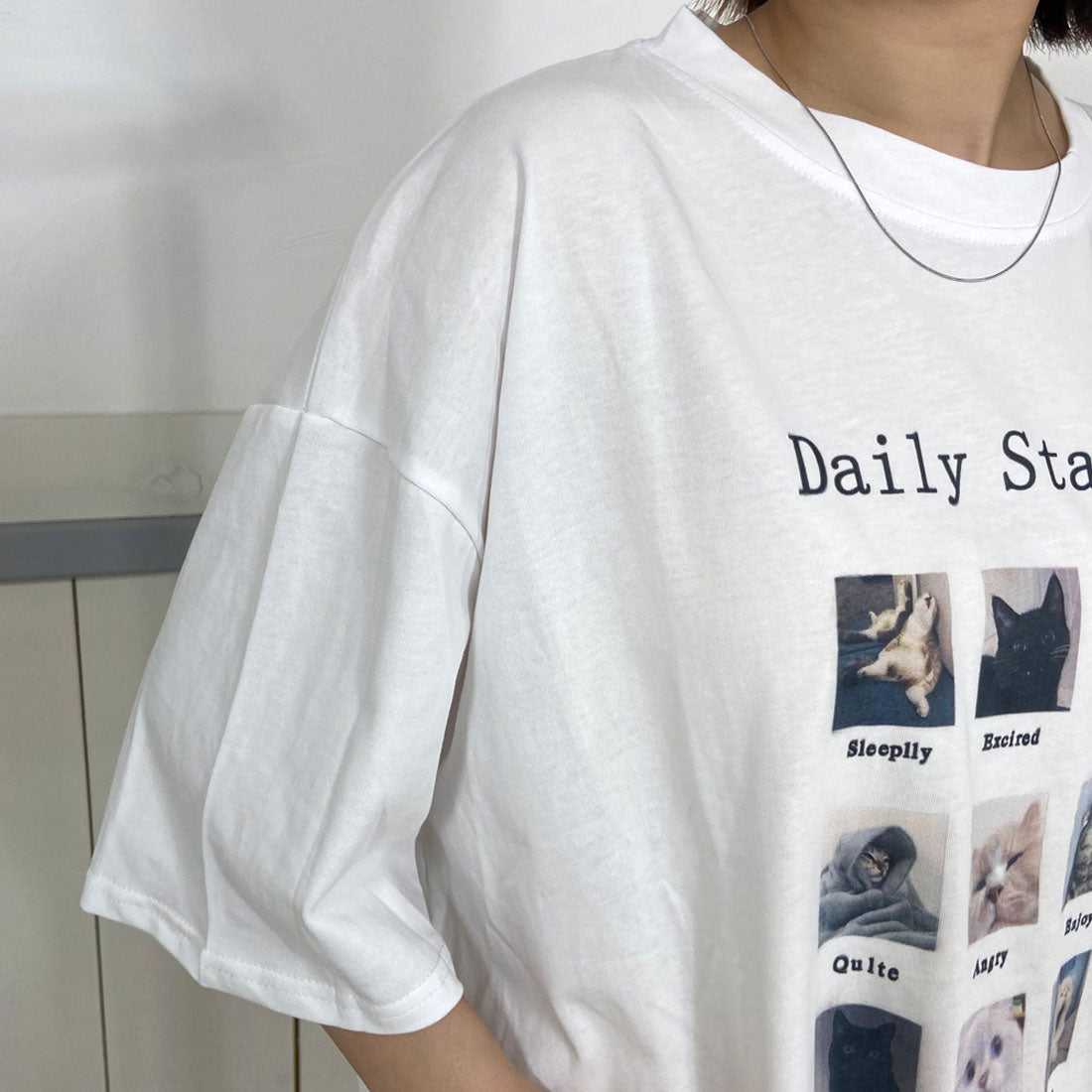 シーアールビー CRB アニマルBIGTシャツ (グレー) グレー