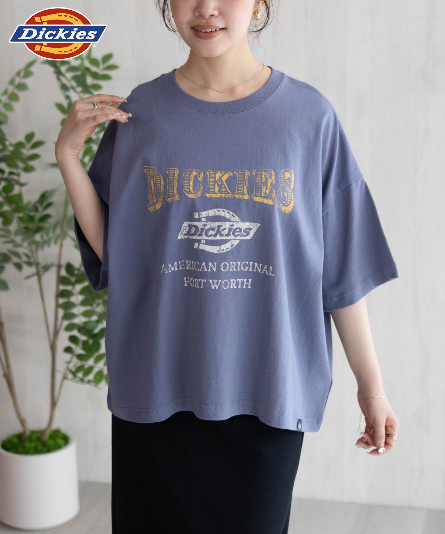 ディッキーズ Dickies バイオ加工カレッジTシャツ (ブルーグレー) ブルーグレー