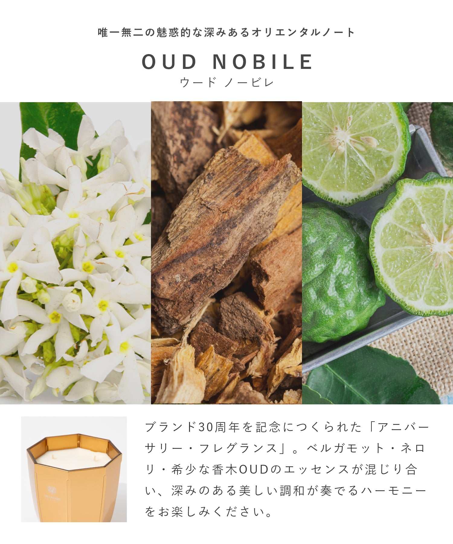 ドットール・ヴラニエス DR. VRANJES CANDELE D’ARREDO キャンドル 500g ルームフレグランス HOME FRAGRANCE ホームフレグランス 【返品不可商品】 (ウードノービレ×ゴールド) ウードノービレ×ゴールド