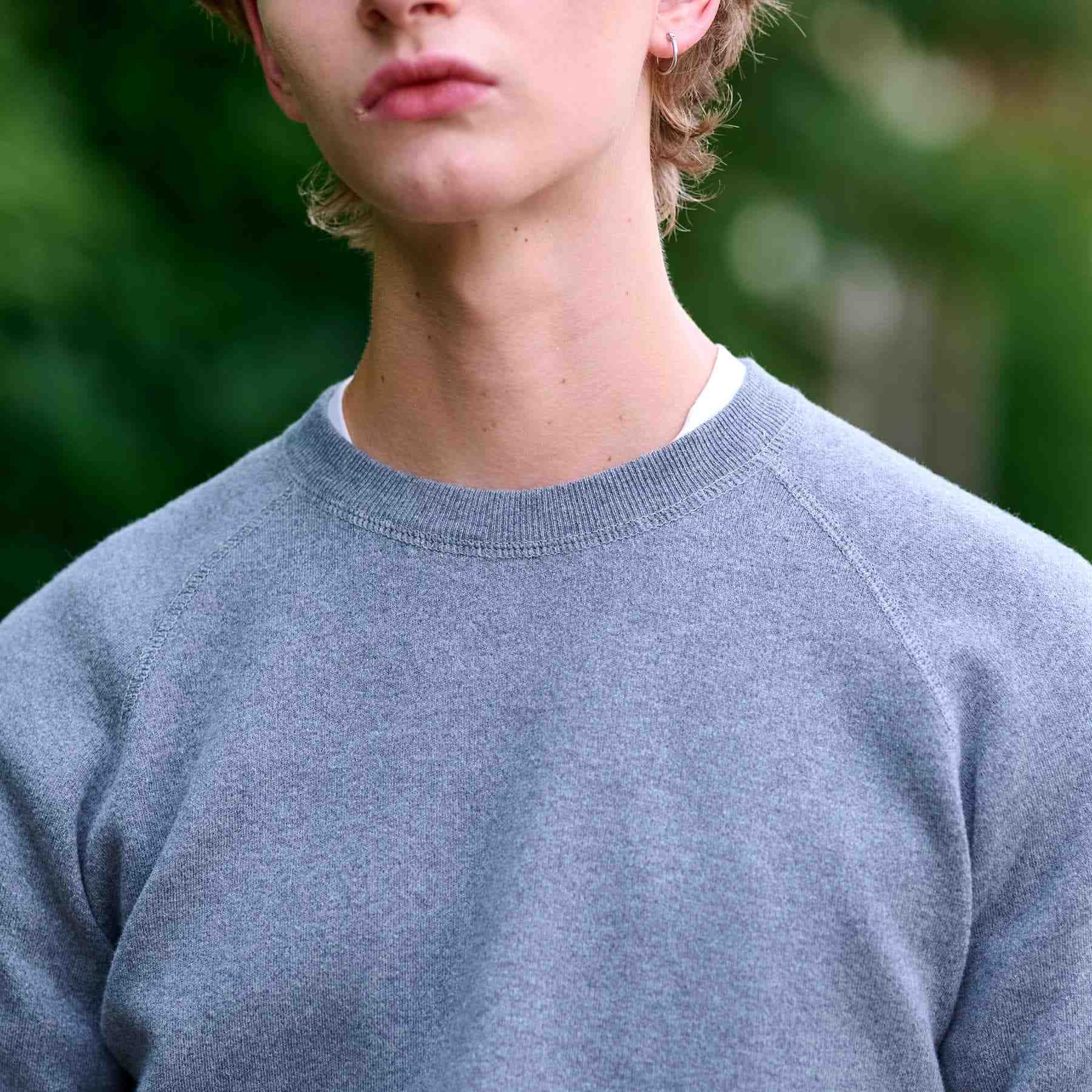 ドレステリア DRESSTERIOR コットンカシミヤスムースニット (グレー(012)) グレー(012)