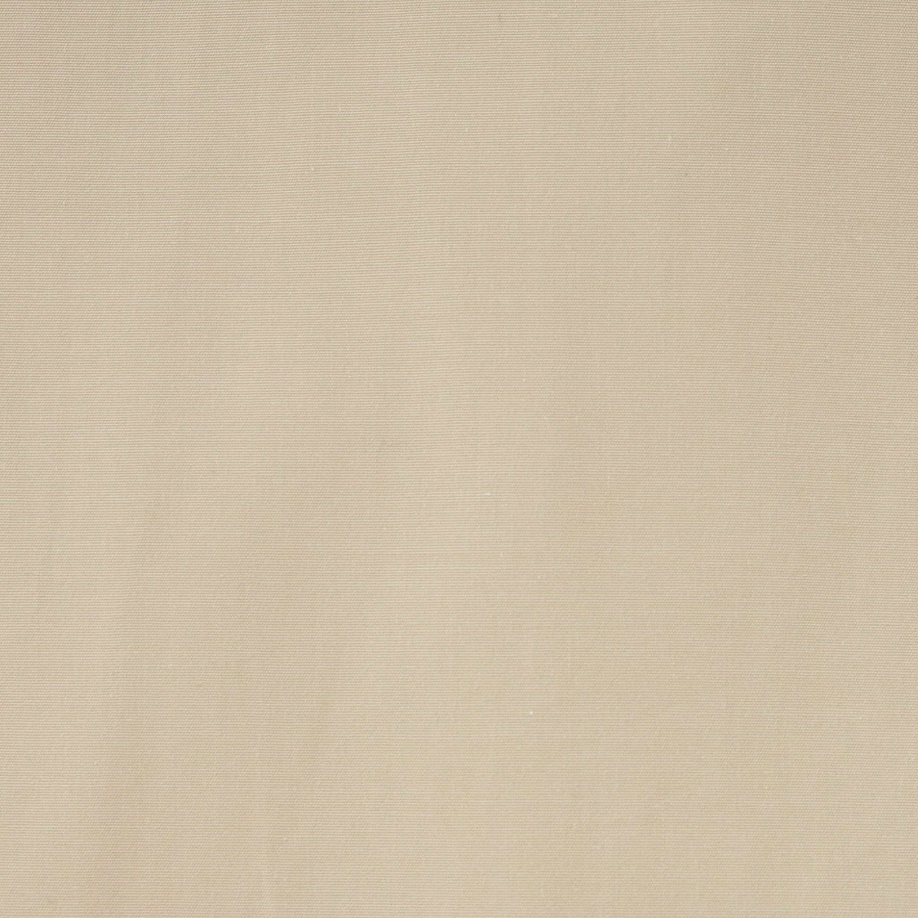 ドレステリア DRESSTERIOR レギュラカラードレスシャツ (ライトベージュ(051)) ライトベージュ(051)