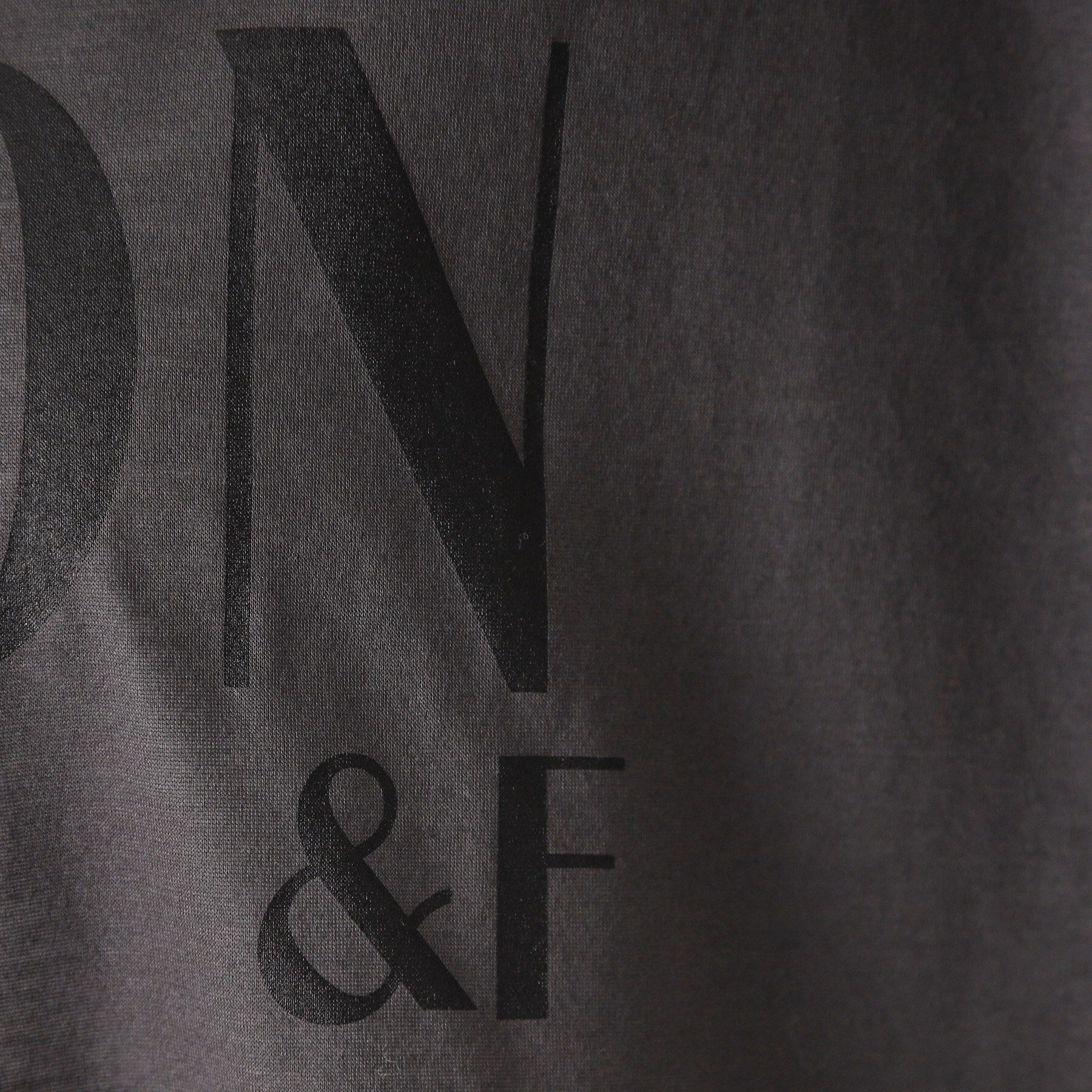 ドレステリア DRESSTERIOR シアーロゴロンT (グレージュ(050)) グレージュ(050)