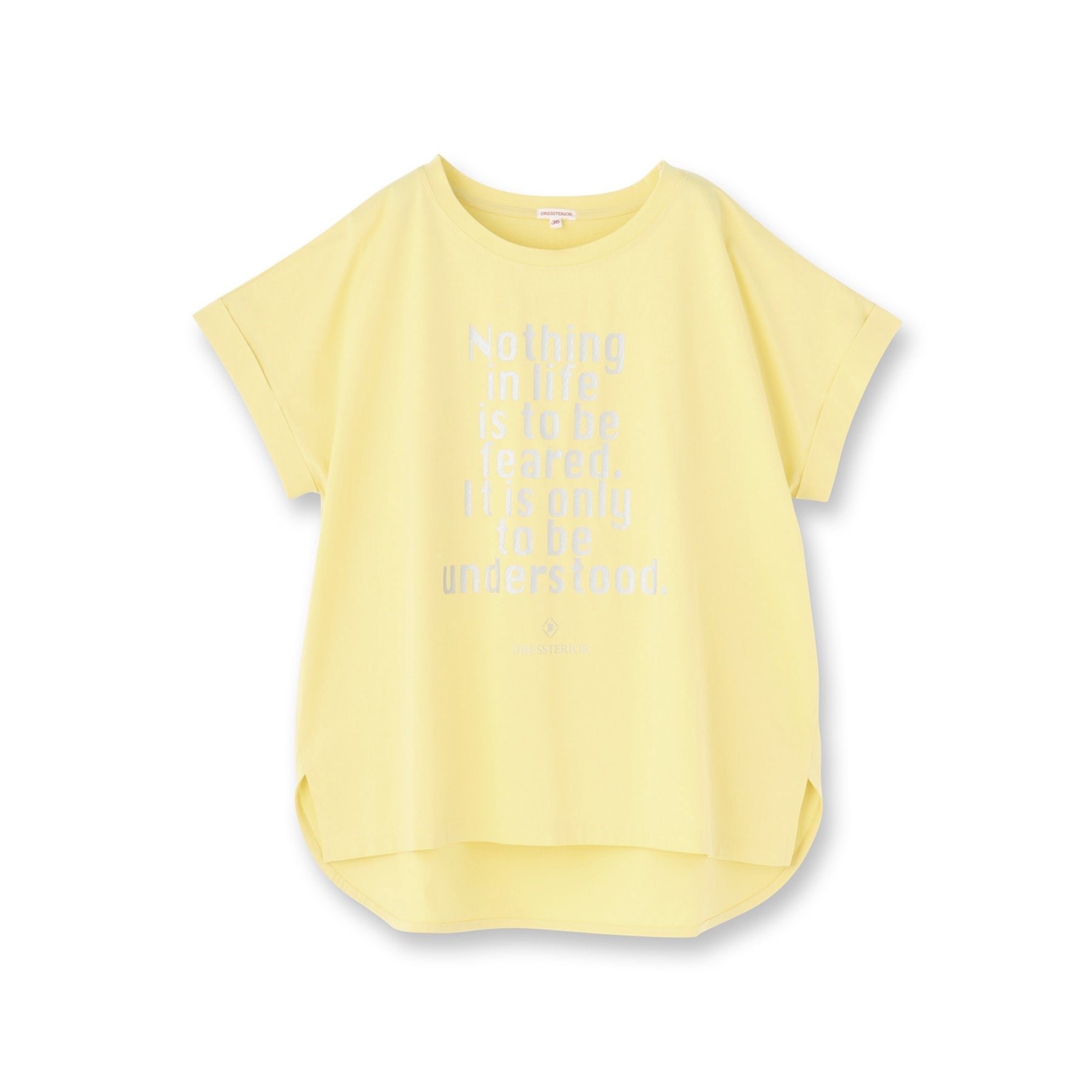 ドレステリア DRESSTERIOR 箔PTドルマンスリーブロゴTシャツ (チャコールグレー(014)) チャコールグレー(014)