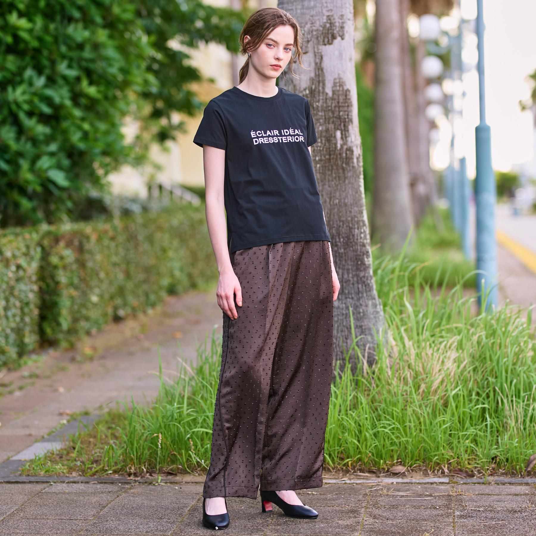 ドレステリア DRESSTERIOR クリア天竺ロゴTシャツ (オフホワイト(003)) オフホワイト(003)