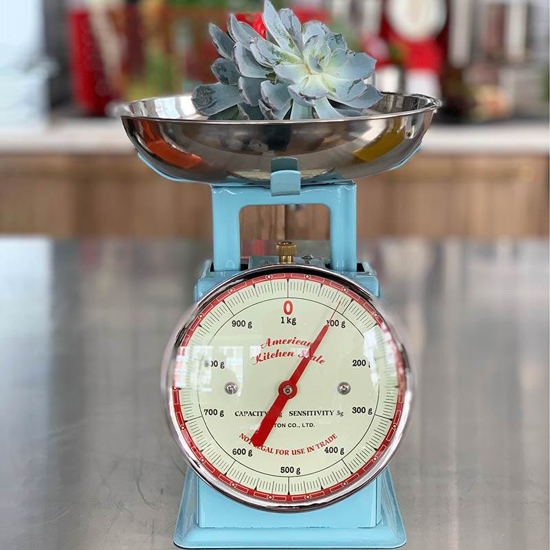 ダルトン DULTON 100-061SB AMERICAN KITCHEN SCALE SAX BLUE (SB) SB