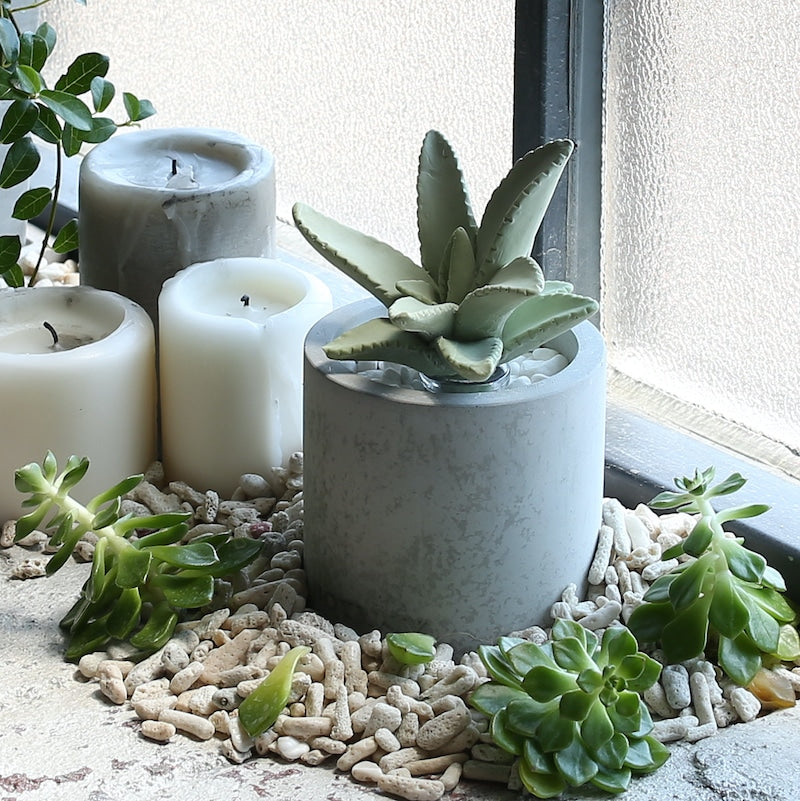 ダルトン DULTON ALOE FRAGRANCE DIFFUSER 【返品不可商品】 (CUTTING GRASS) CUTTING GRASS