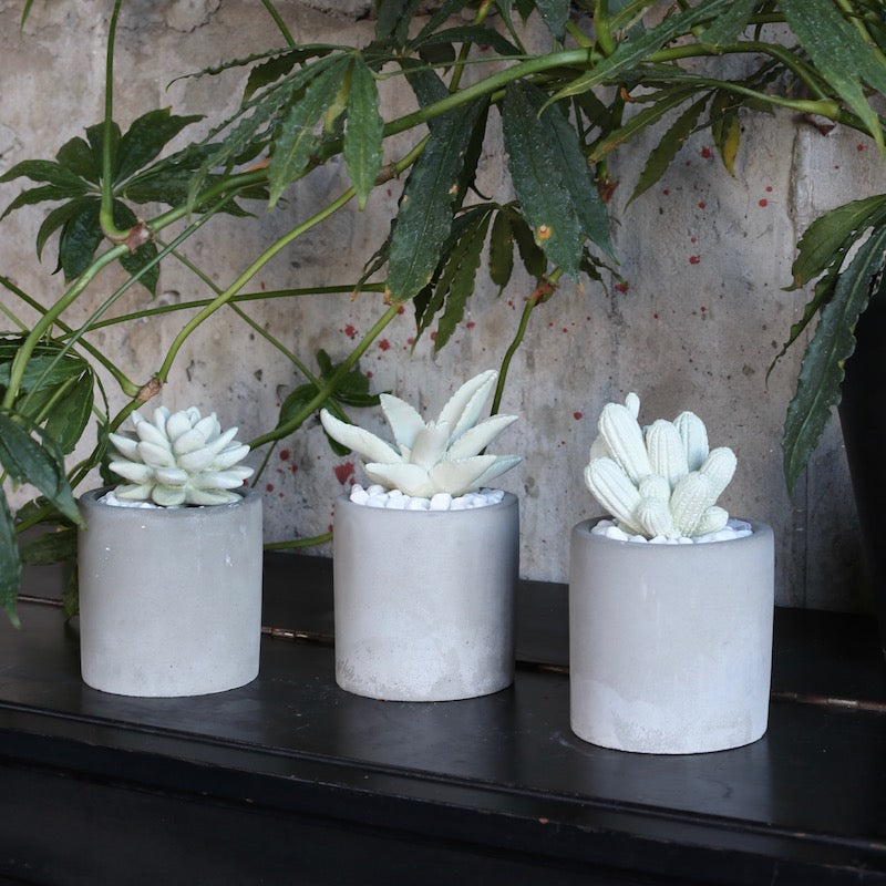 ダルトン DULTON ALOE FRAGRANCE DIFFUSER 【返品不可商品】 (CUTTING GRASS) CUTTING GRASS