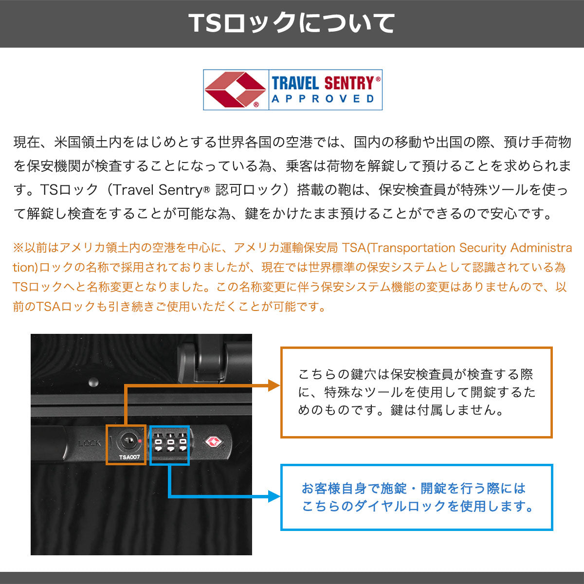 ゼロハリバートン ZERO HALLIBURTON 正規品10年保証 スーツケース フレームタイプ キャリーケース TSAロック 静音 双輪 Classic LightweightF Check-In-L Travel Case 72L 81582 (ブラック) ブラック