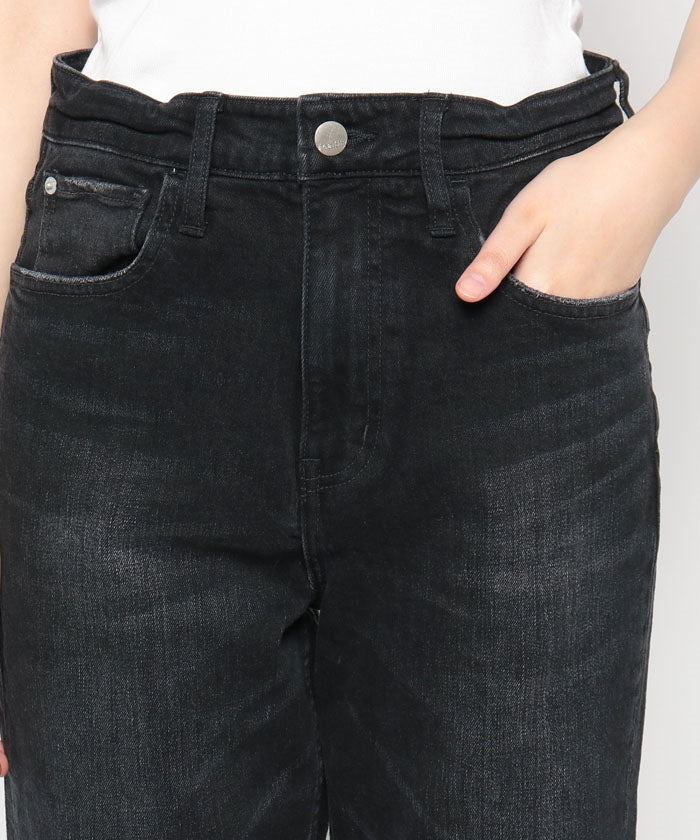 ヘルシーデニム Healthy denim Tallow (BlackUsed) BlackUsed