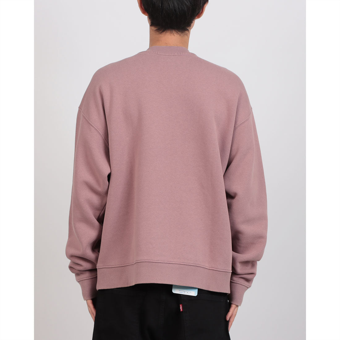 ゲス GUESS GUESS Originals Vintage Triangle Crewneck (F45T) F45T