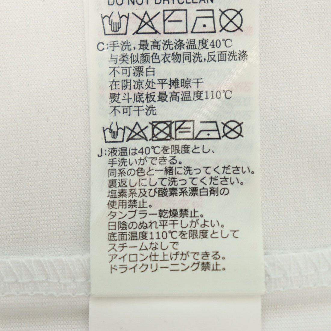 ゲス GUESS Paisley Triangle Tee Tシャツ