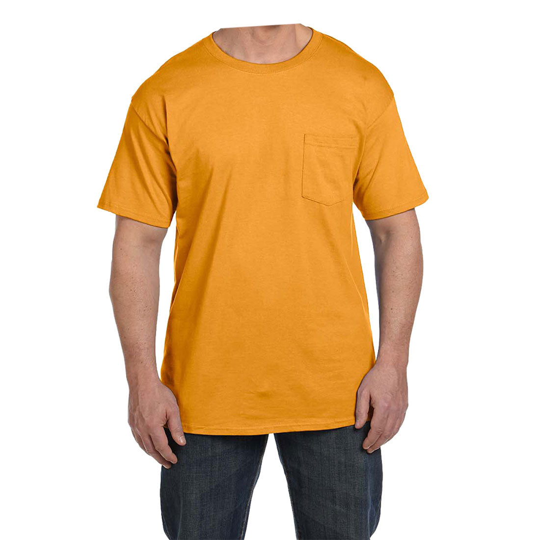 ヘインズ Hanes ビーフィー半袖Tシャツポケット付 6.1オンス タグ有