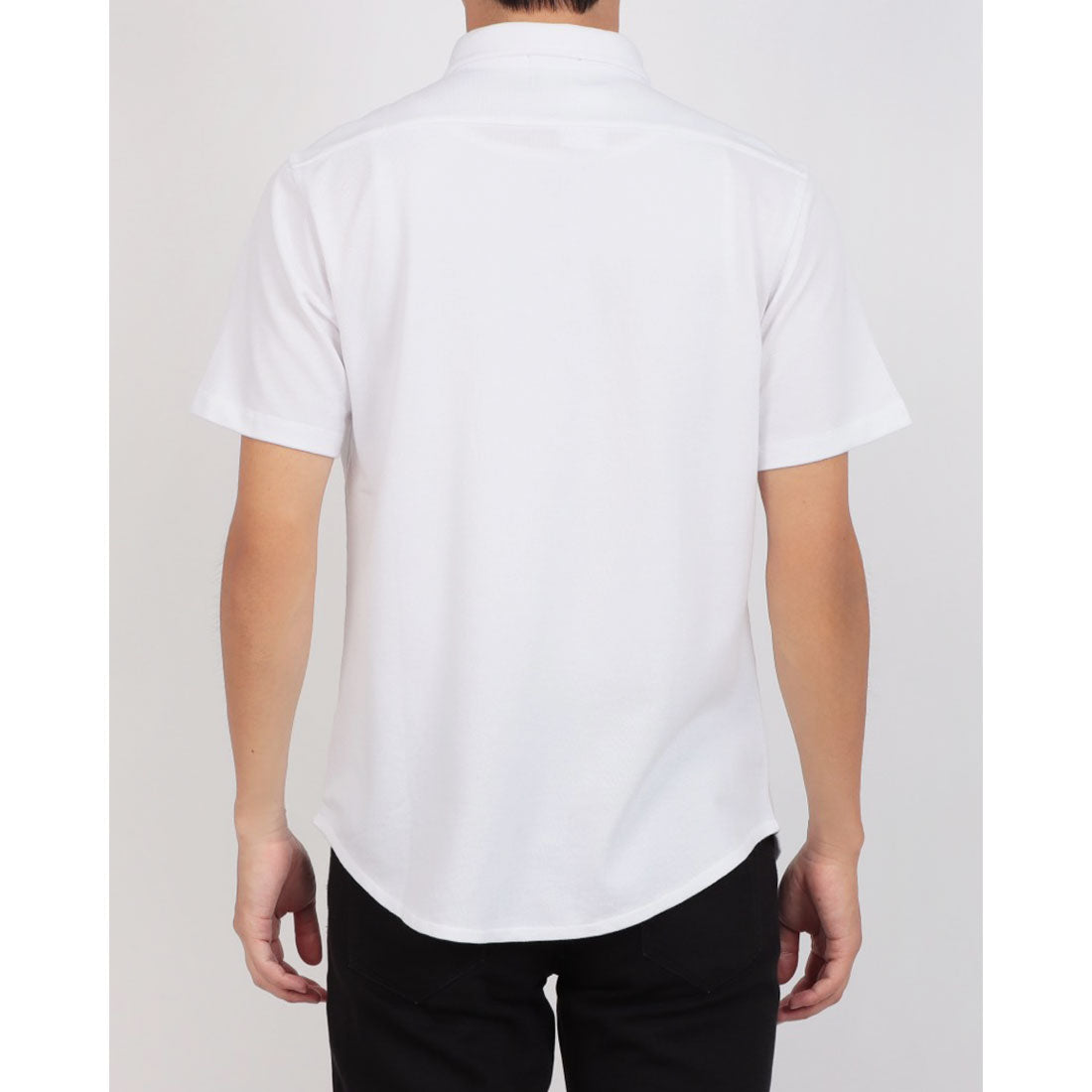 ホルバー Holubar ボタンダウン半袖シャツ (white) white