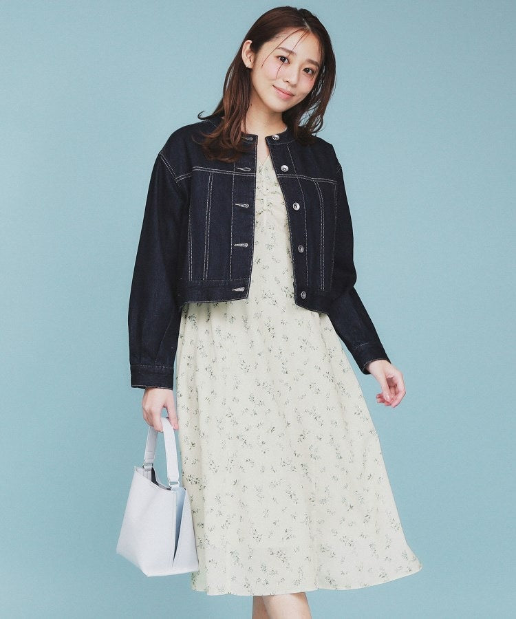 インデックス index フラワーパイピングVネックフレアワンピース【洗濯機可・イージーアイロン】 (アイボリー(104)) アイボリー(104)