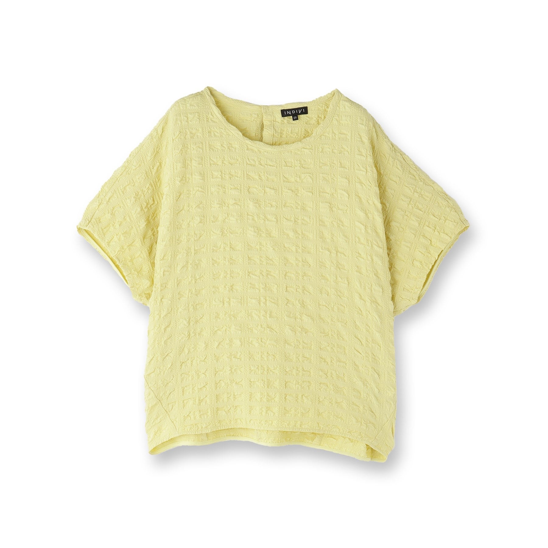 インディヴィ INDIVI 【洗える/凹凸素材/UVケア】コンパクトトップス (ブラック(019)) ブラック(019)