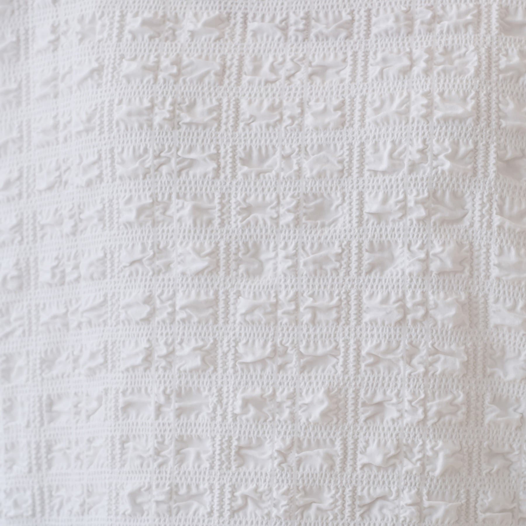 インディヴィ INDIVI 【洗える/凹凸素材/UVケア】コンパクトトップス (ブラック(019)) ブラック(019)