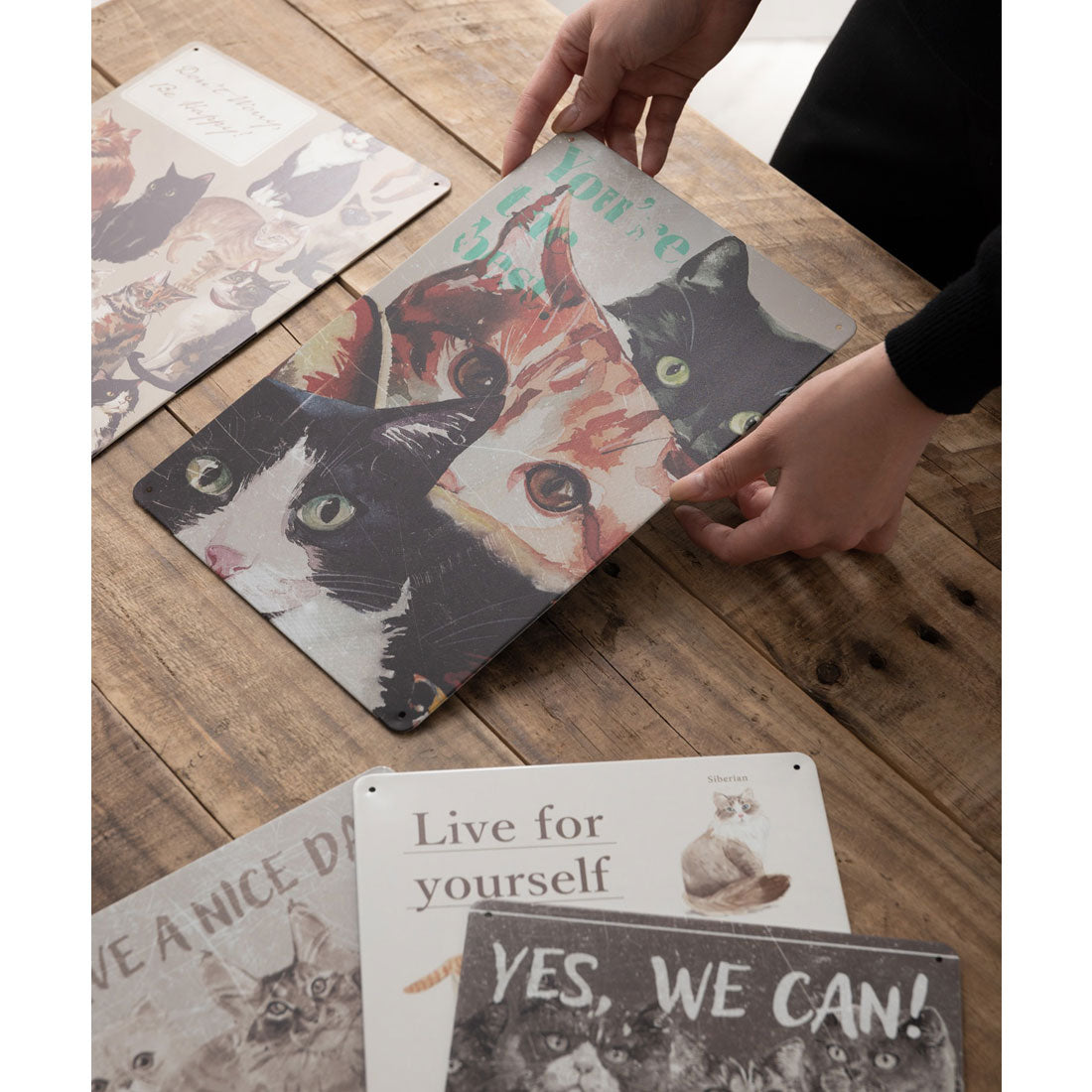 ジュビリー Jubilee 猫デザイン アンティーク調  壁掛け レトロサイン (その他19) その他19