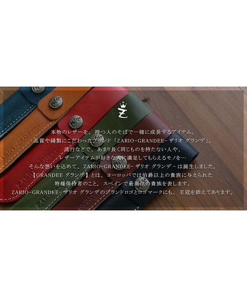 ZARIO-GRANDEE Pen Case for Women Genuine Leather Made in Japan ploomtech Tochigi Leather ZARIO-GRANDEE