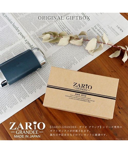 ザリオグランデ ZARIO-GRANDEE- 眼鏡ケース 本革 ペンケース メガネ 栃木レザー マルチケース 日本製 ZARIOーGRANDEEー (オレンジ) オレンジ