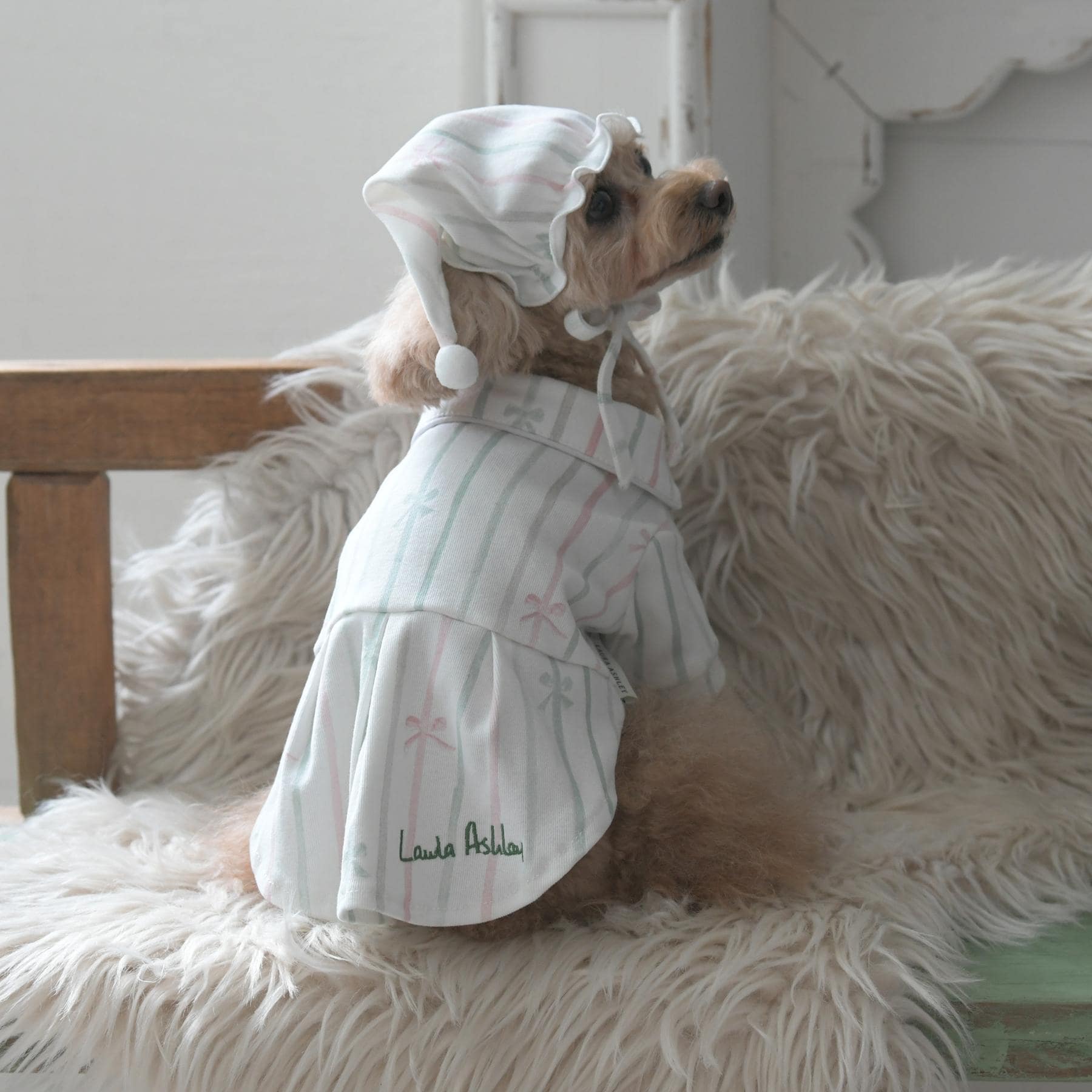 ローラ アシュレイ LAURA ASHLEY ペインタリー ボウ ストライプ柄 ドッグウエア 【返品不可商品】 (ホワイト(102)) ホワイト(102)