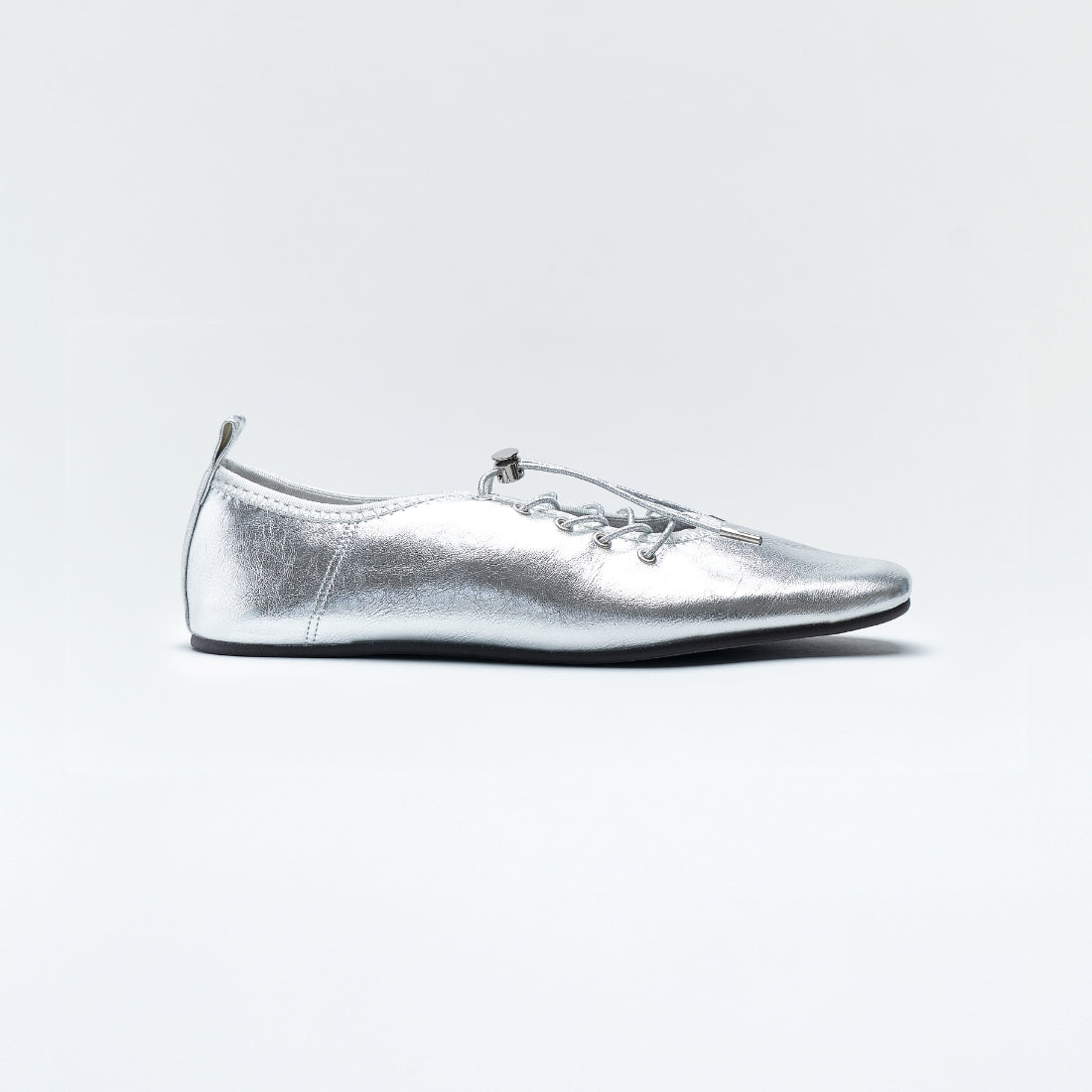 Lucida | FASBEE