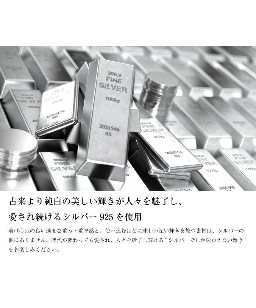 ララクリスティー LARA Christie ララクリスティー ネックレス メンズ ステラ BLACK Label p5714ーb (シルバー) シルバー
