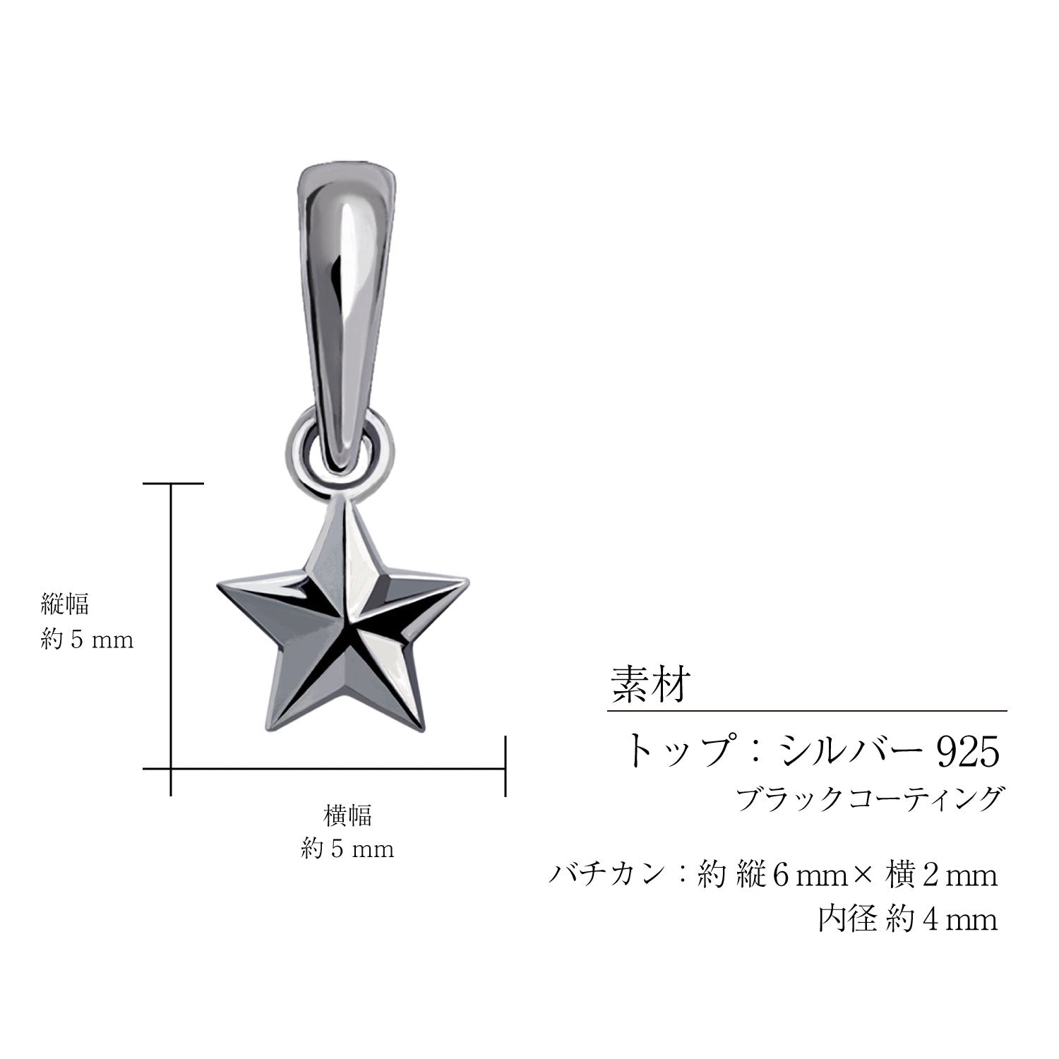 ララクリスティー LARA Christie チャーム ペンダントトップ ステラ 星 スター レディース メンズ sv925 シルバー ネックレス (シルバー/ブラック) シルバー/ブラック