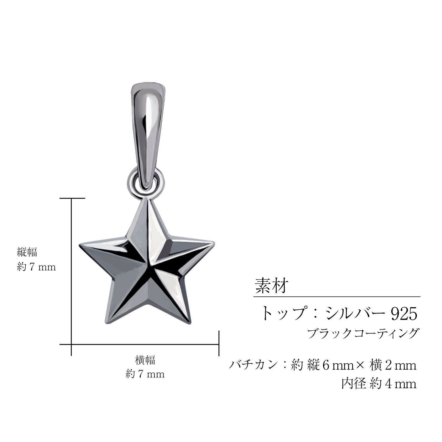 ララクリスティー LARA Christie チャーム ペンダントトップ ステラ 星 スター レディース メンズ sv925 シルバー ネックレス (シルバー/ブラック) シルバー/ブラック