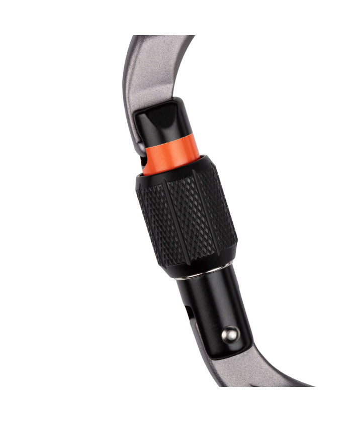 マムート MAMMUT MAMMUT マムート アウトドア Workhorse HMS Screwgate Carabiner 2040ー02560 2040025 (SCREW GATE.) SCREW GATE.