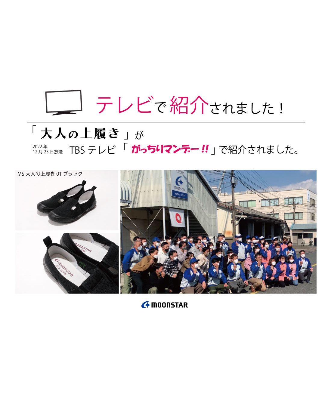 MoonStar MoonStar 成人室內鞋01 介護 康復 女士 男士 TKHS-MSOTONA01