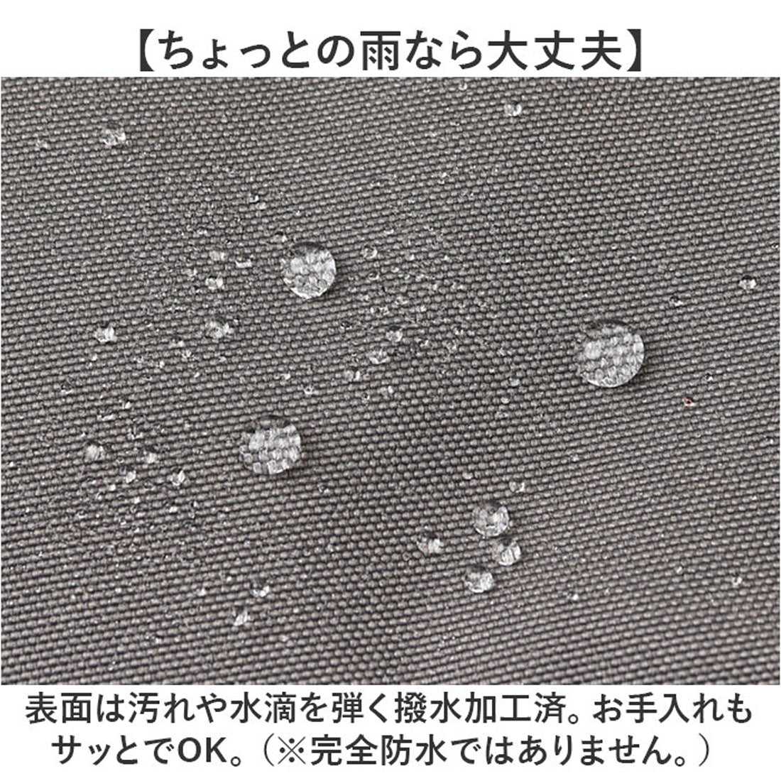 バックヤードファミリー BACKYARD FAMILY BOD仕切りミニショルダー (BK) BK